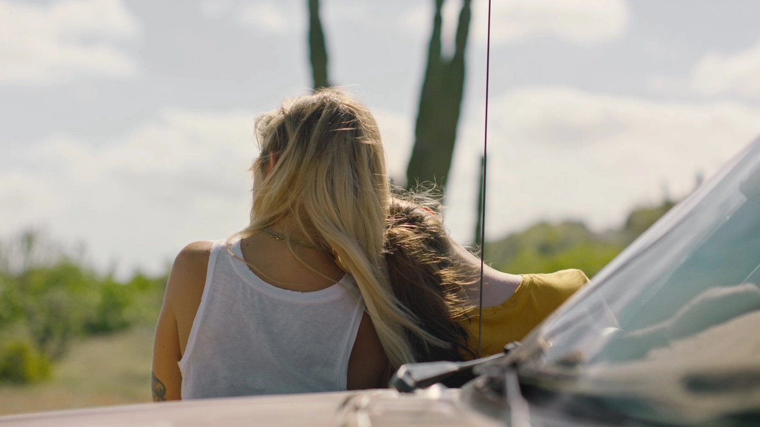 Backdrop for The Gigantes