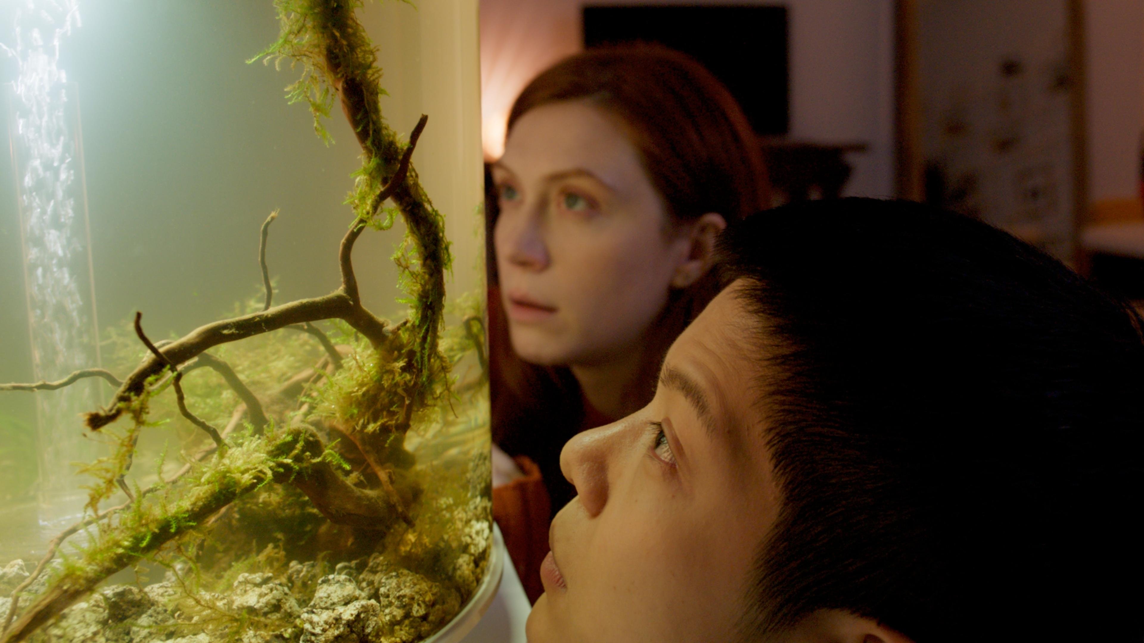 Backdrop for Two Weeks In