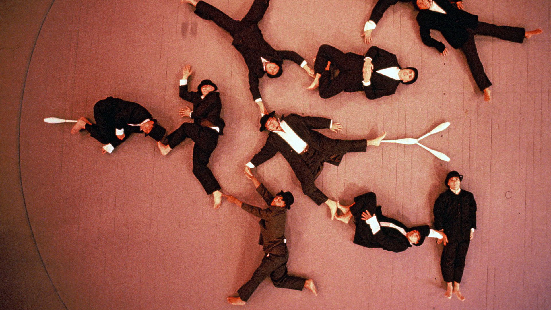 Backdrop for Le Cri du Caméléon