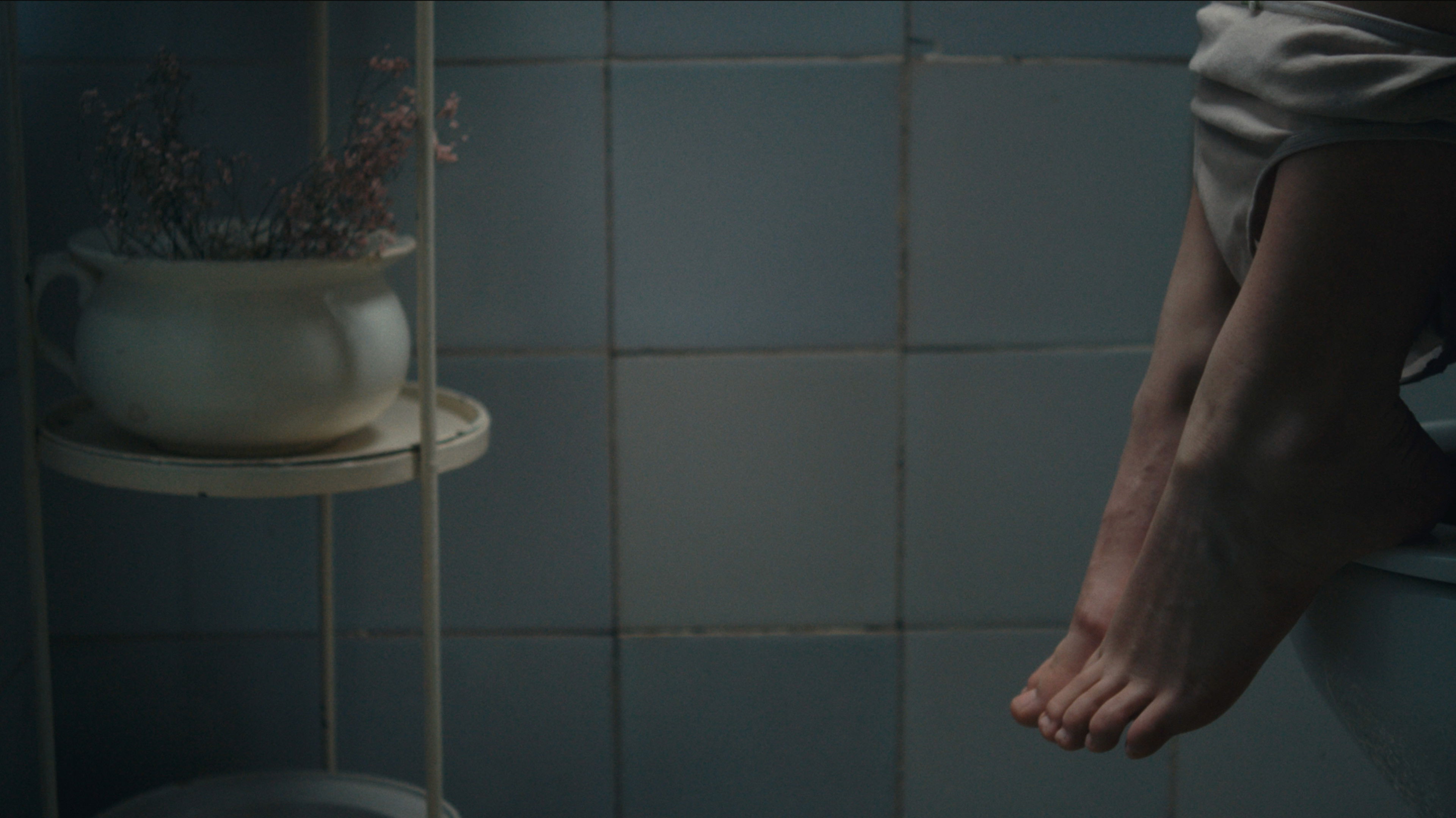 Backdrop for Amapola