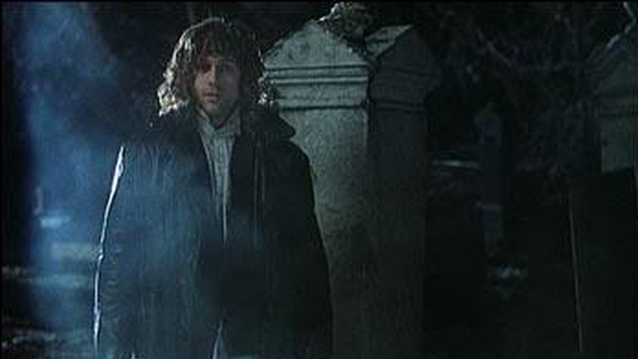 Backdrop for Blood & Donuts