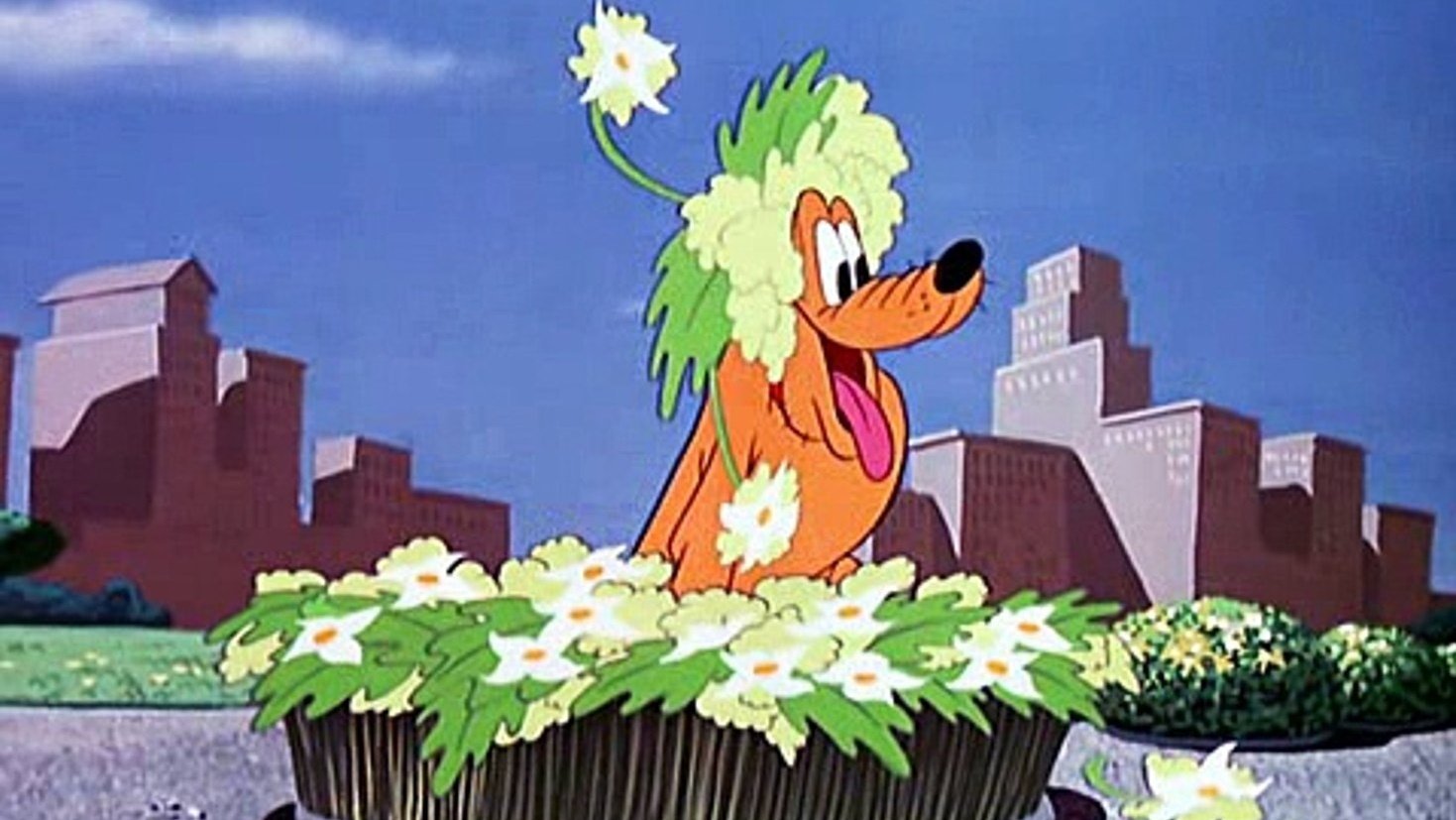 Backdrop for Bubble Bee