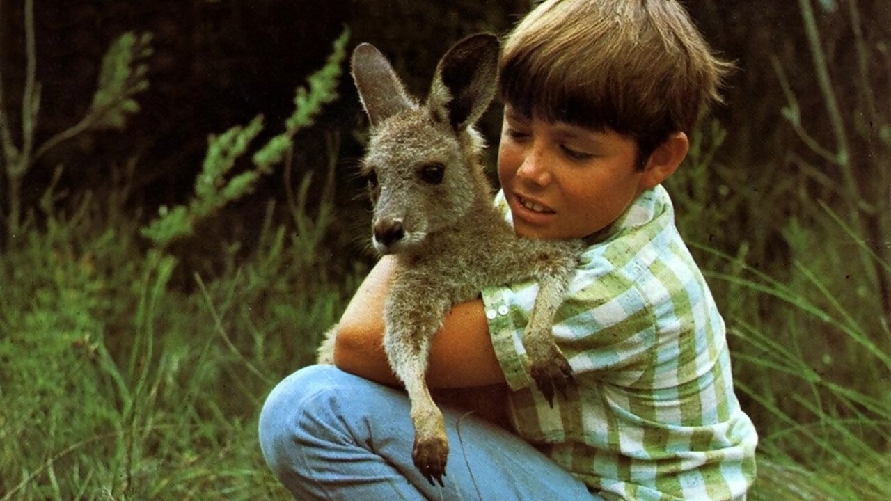 Backdrop for Skippy the Bush Kangaroo