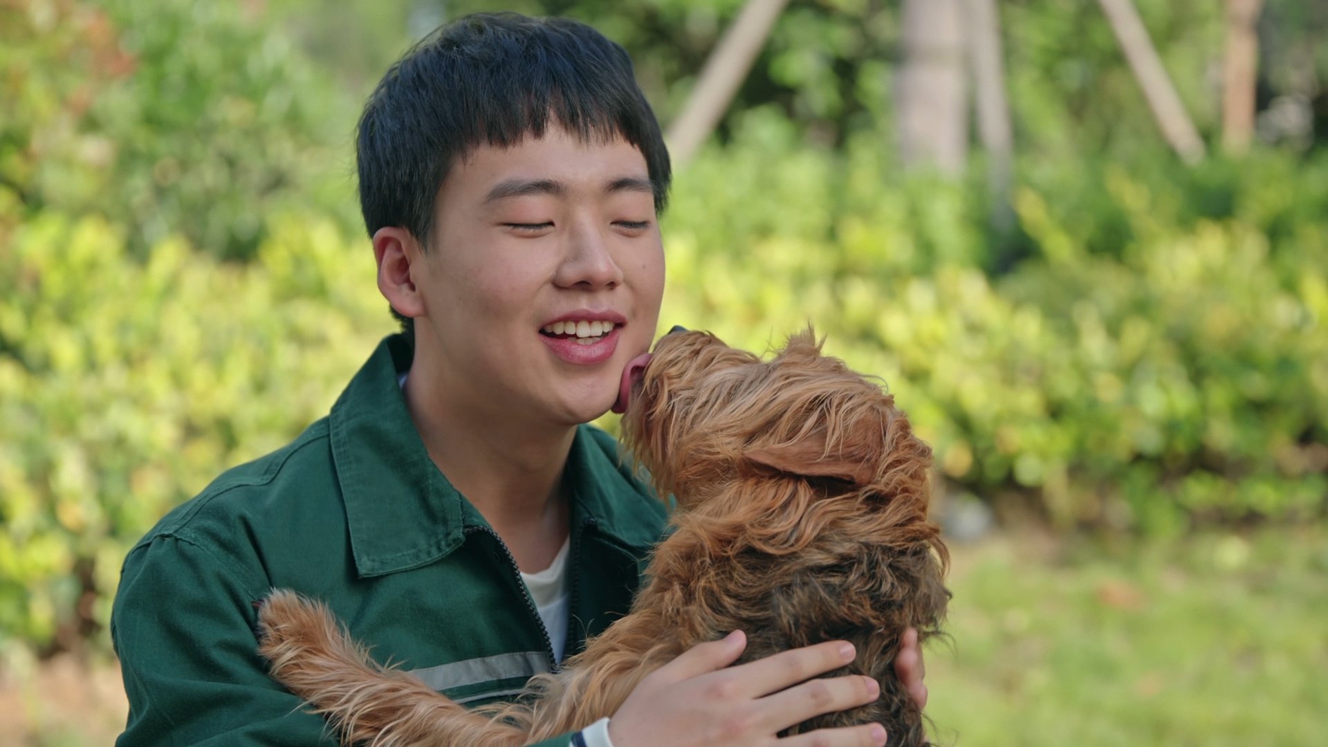 Backdrop for Adoring