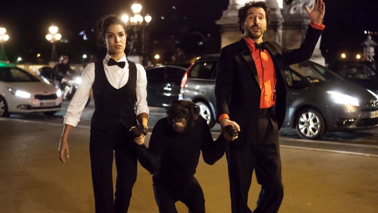 Backdrop for Open at Night