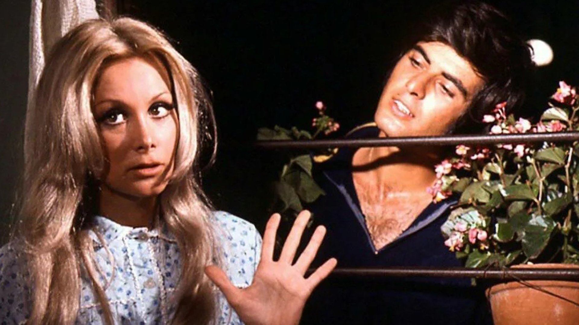 Backdrop for Sweet Talker