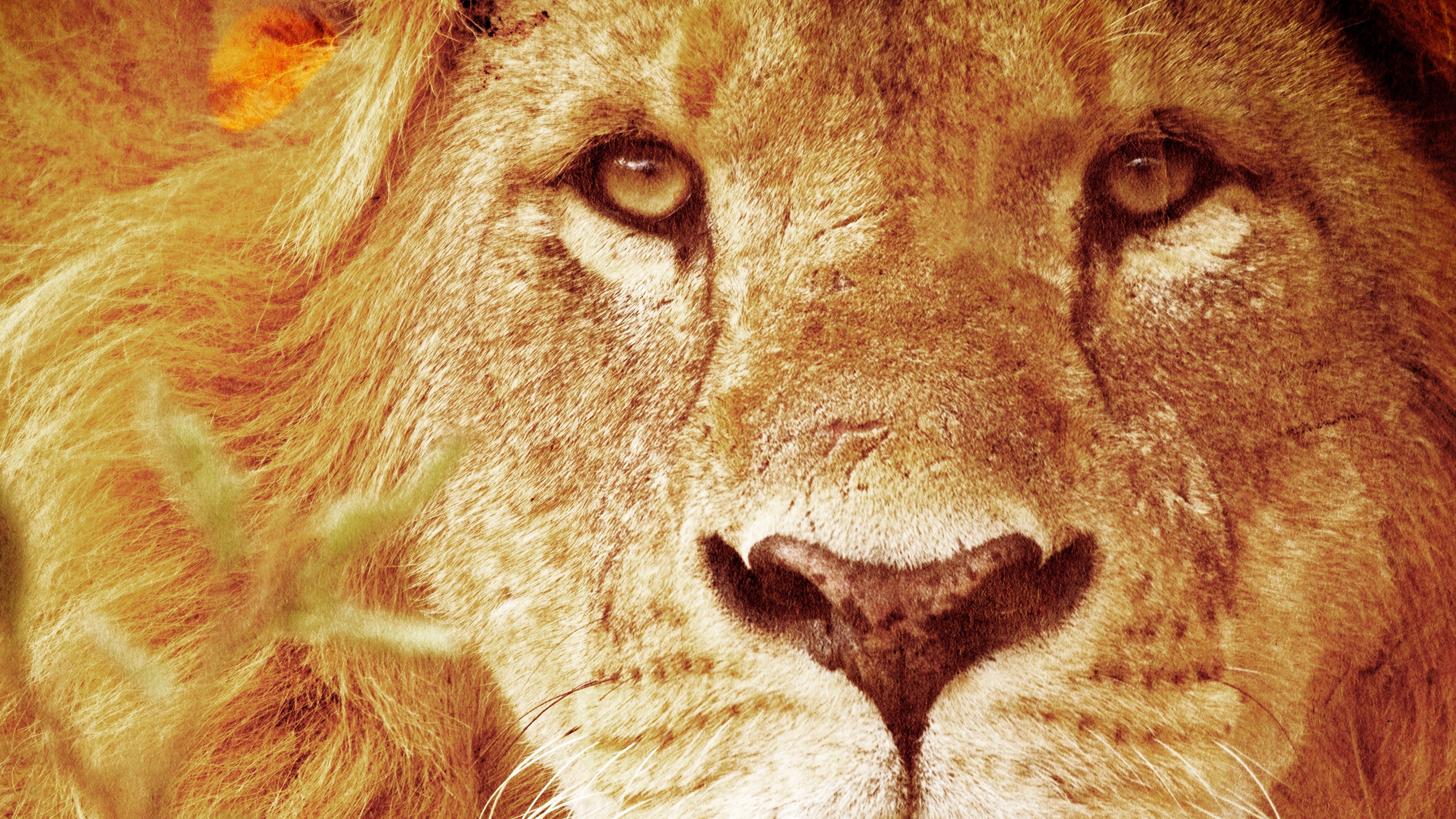 Backdrop for Predators Up Close with Joel Lambert