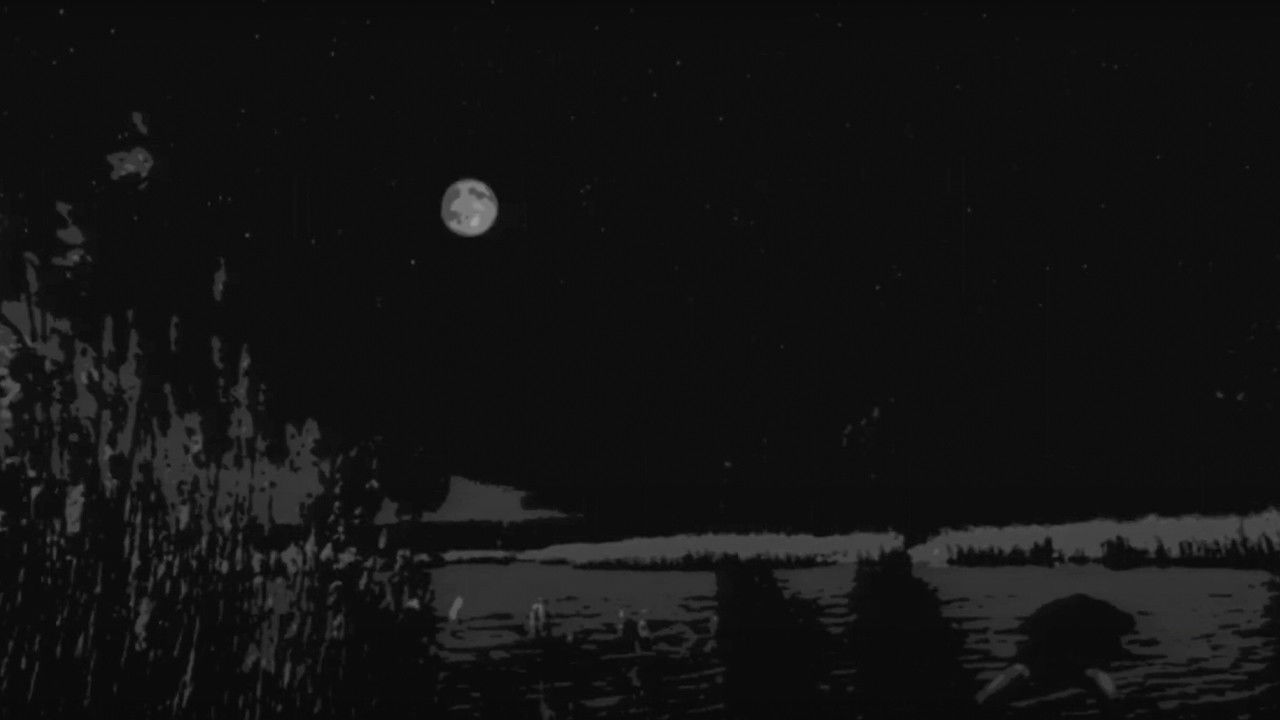 Backdrop for Weird Fishes