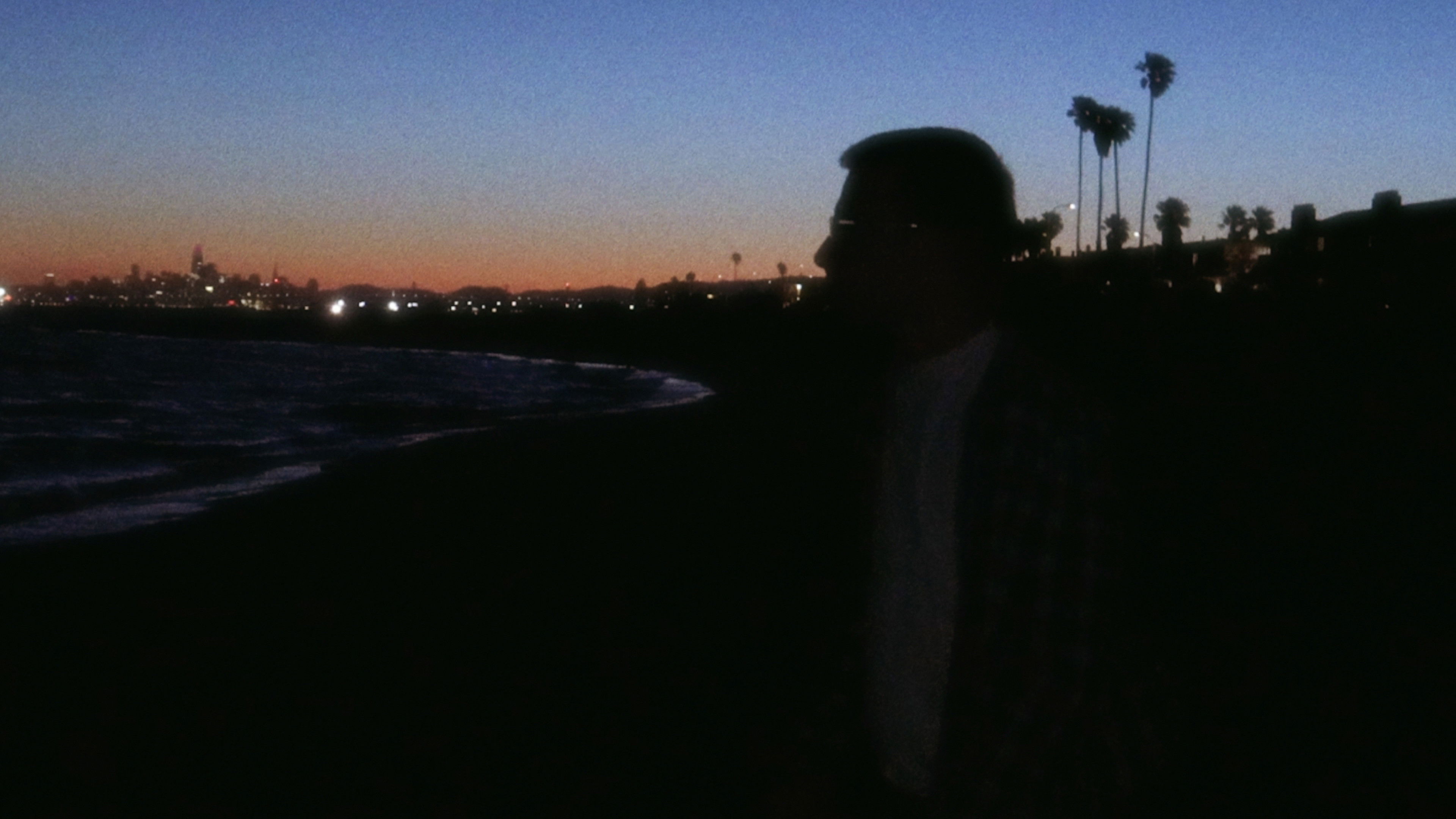 Backdrop for Fever dream