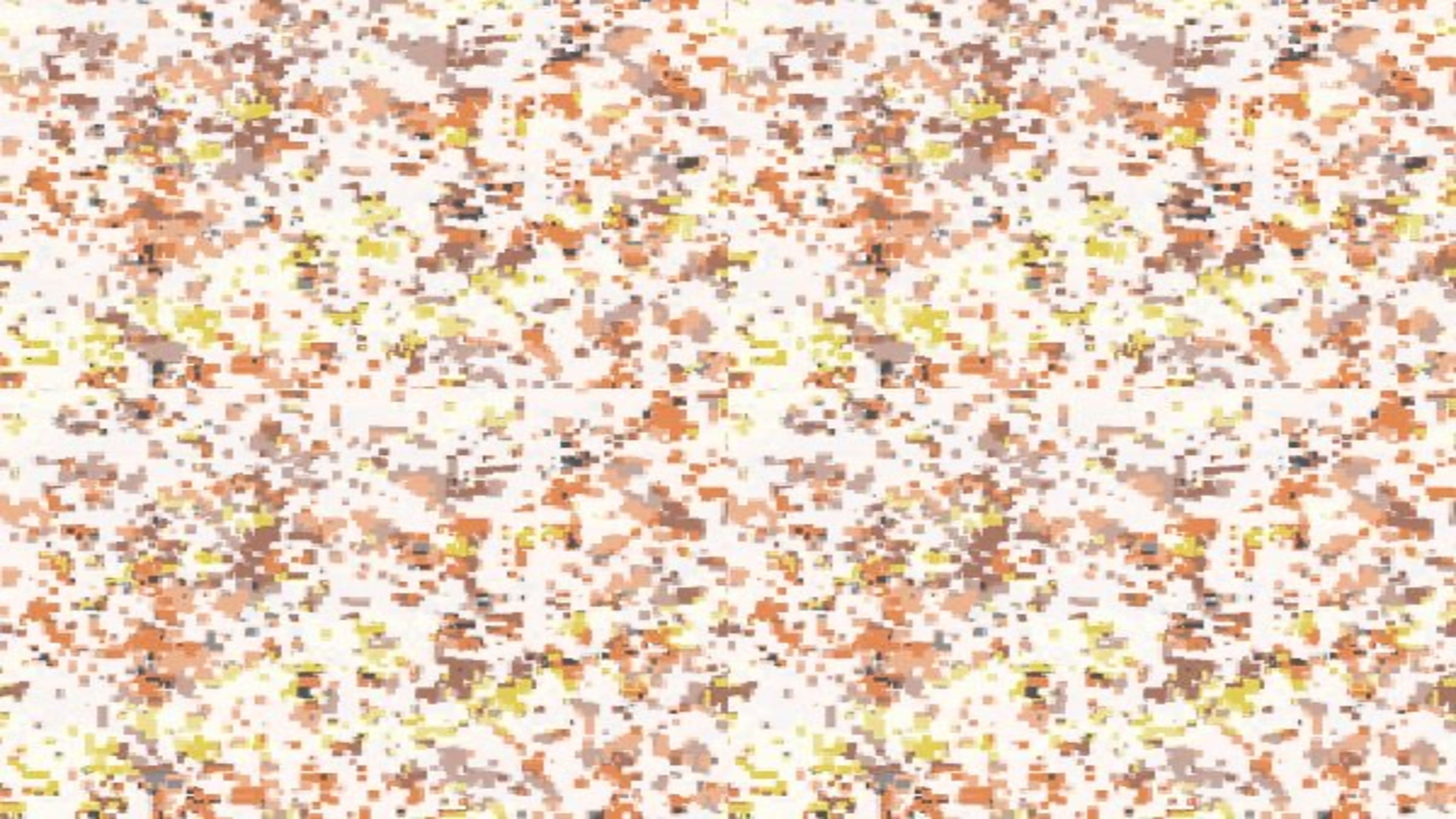 Backdrop for tuesday.