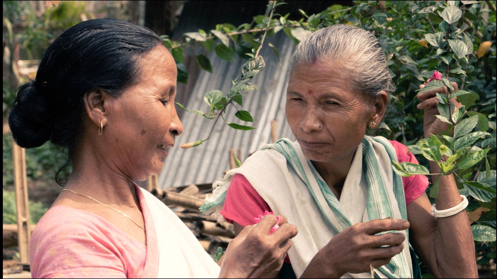 Backdrop for The Flow of Resilience