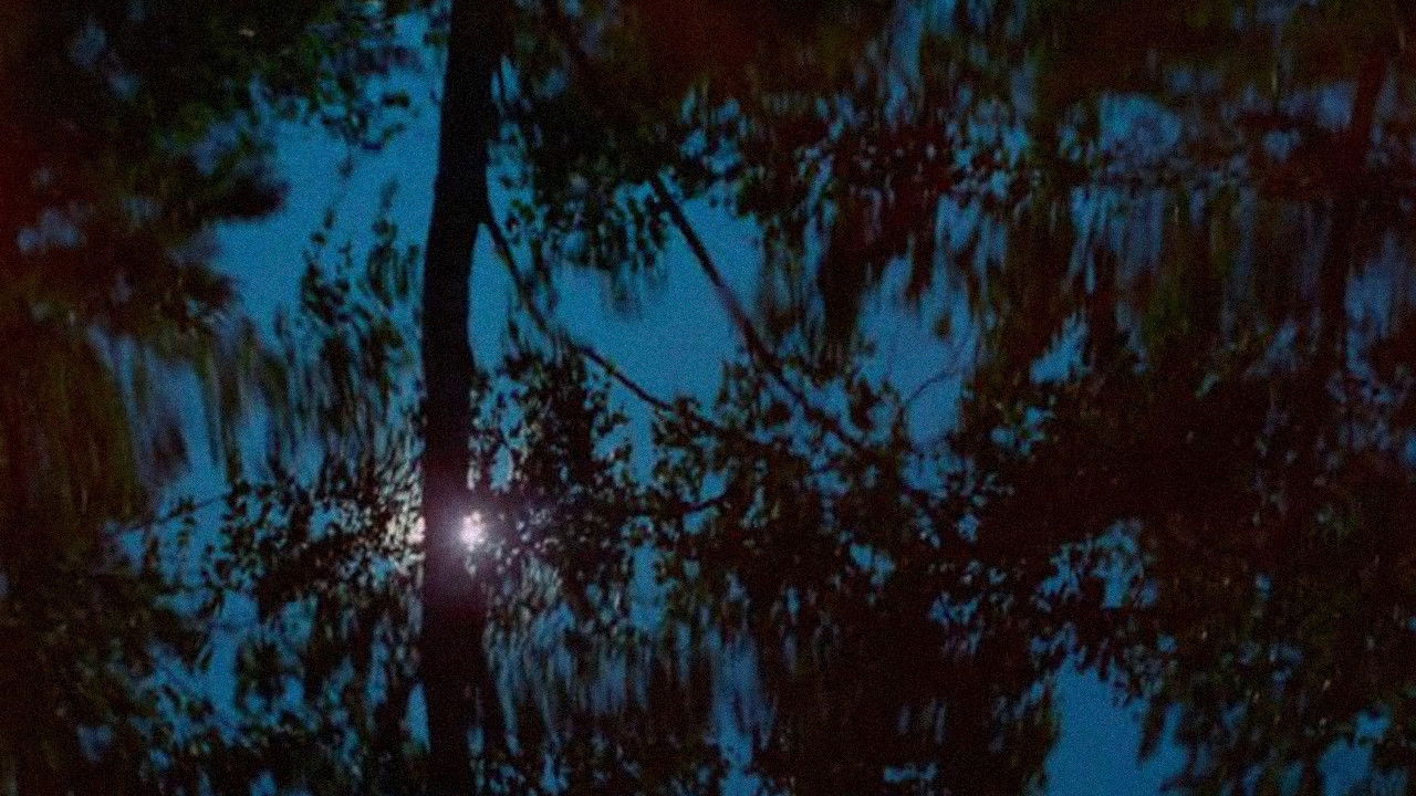 Backdrop for Shudders