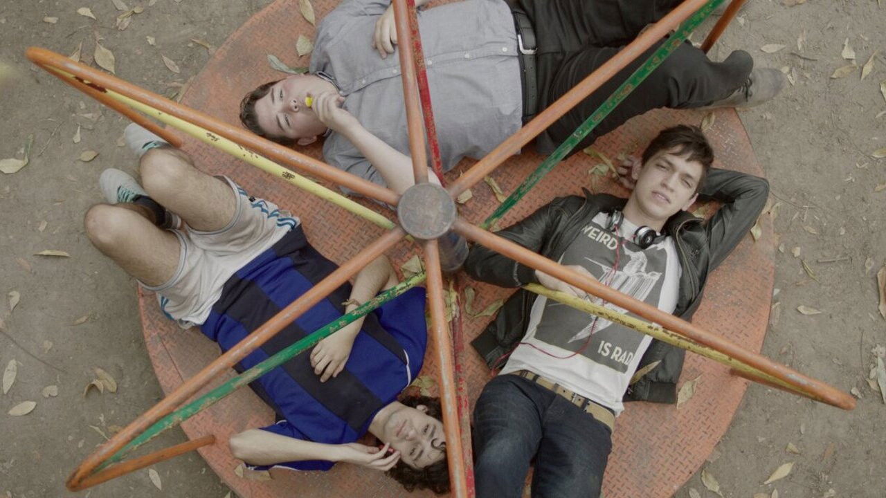 Backdrop for Leaf Blower