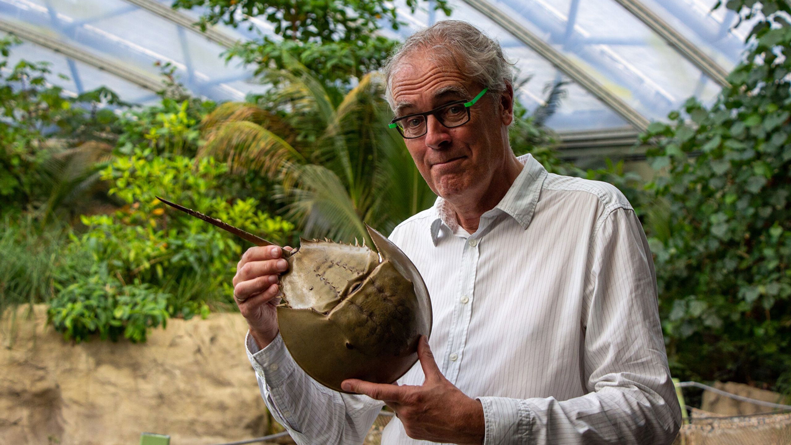 Backdrop for Govert naar de oorsprong van de mens