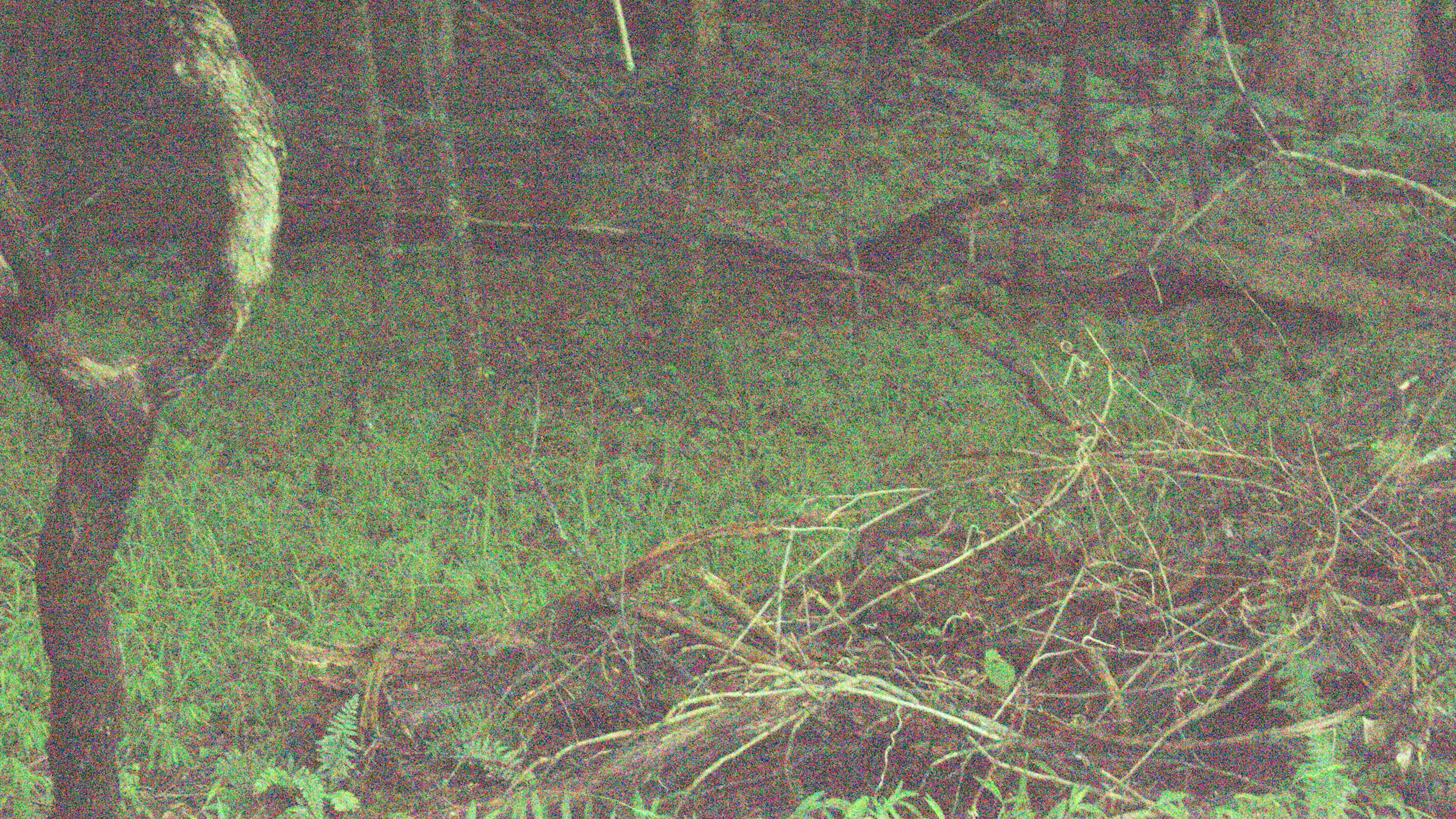 Backdrop for The Inventory