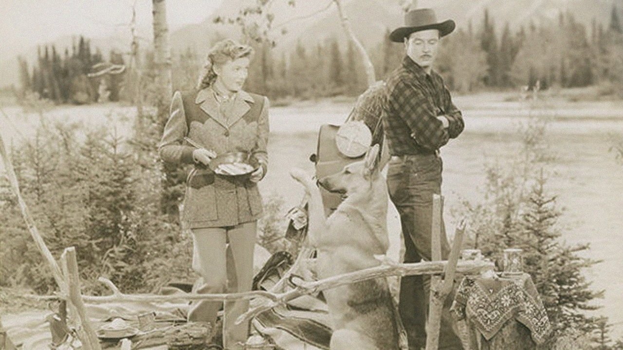 Backdrop for Northwest Stampede