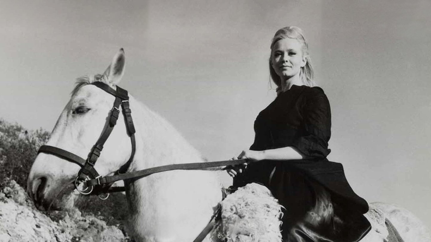 Backdrop for Hassan-Aga's Wife