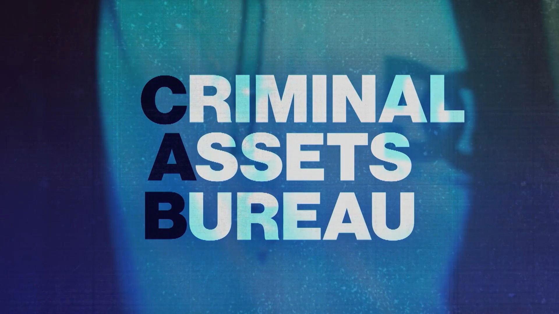 Backdrop for Criminal Assets Bureau