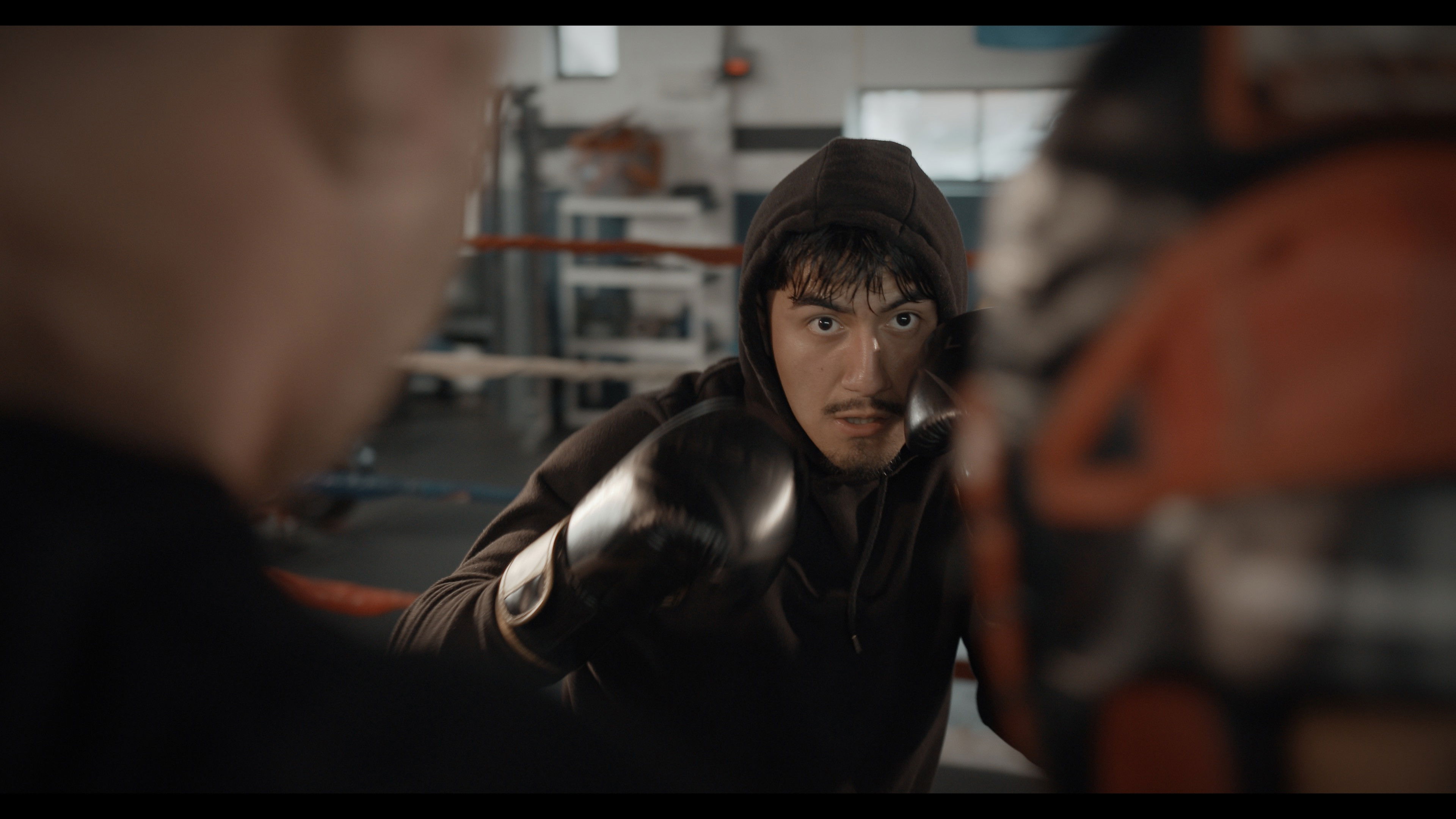 Backdrop for Reversal