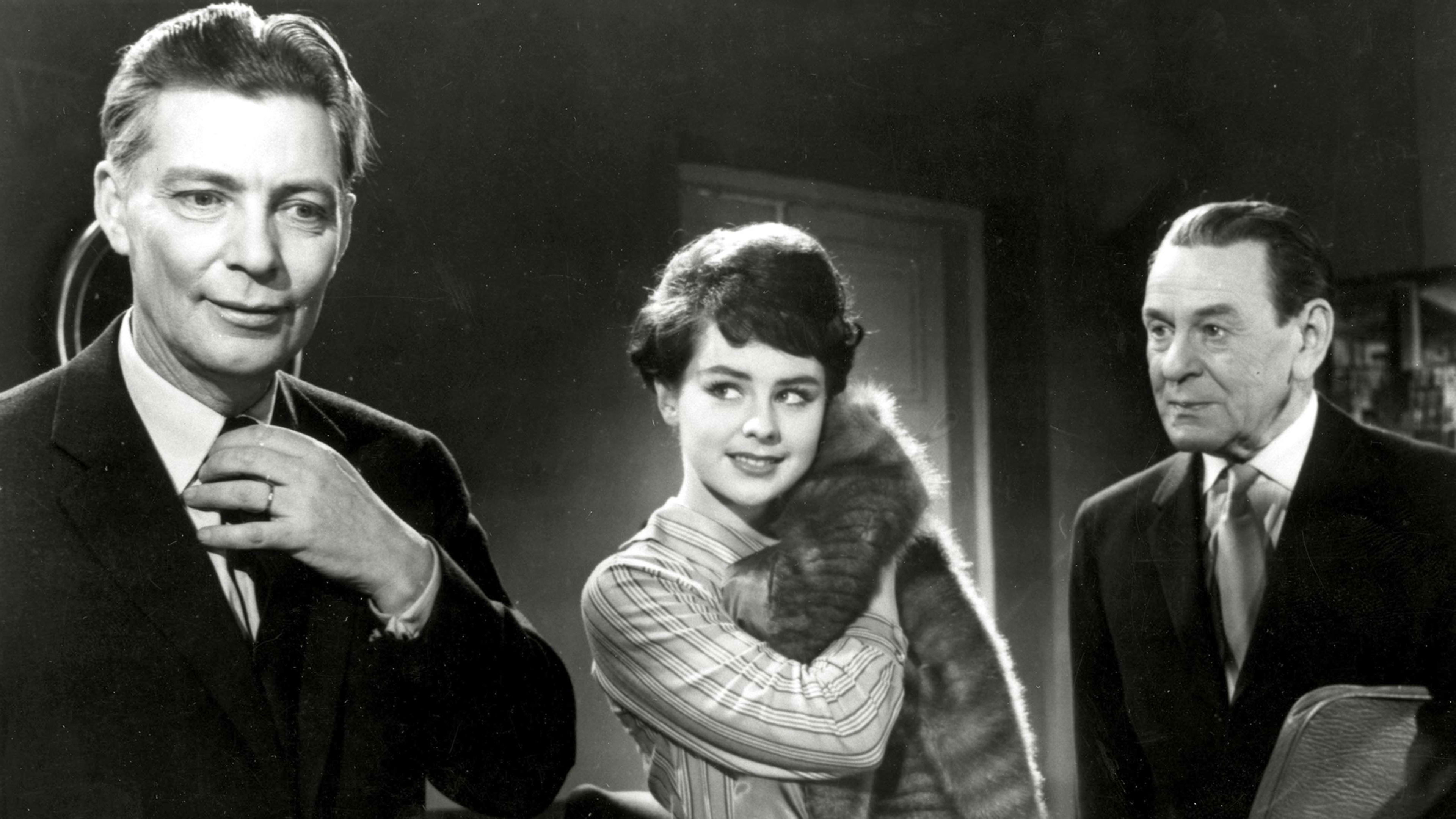 Backdrop for Minkkiturkki