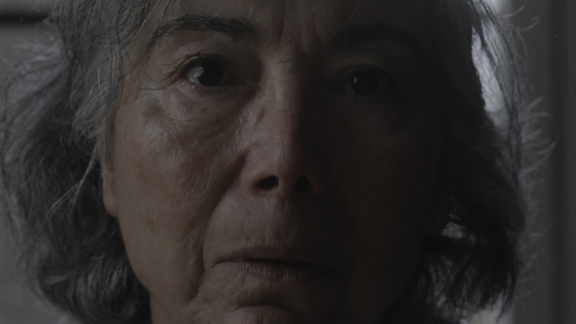 Backdrop for The Hunt