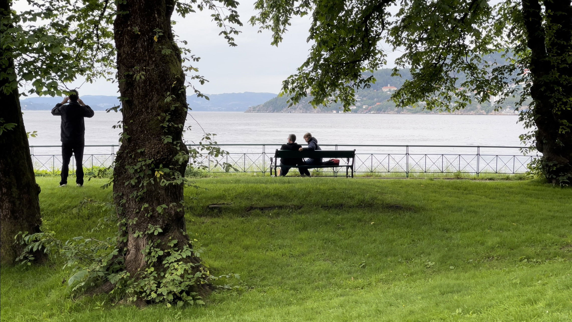 Backdrop for An Image in the Shadow