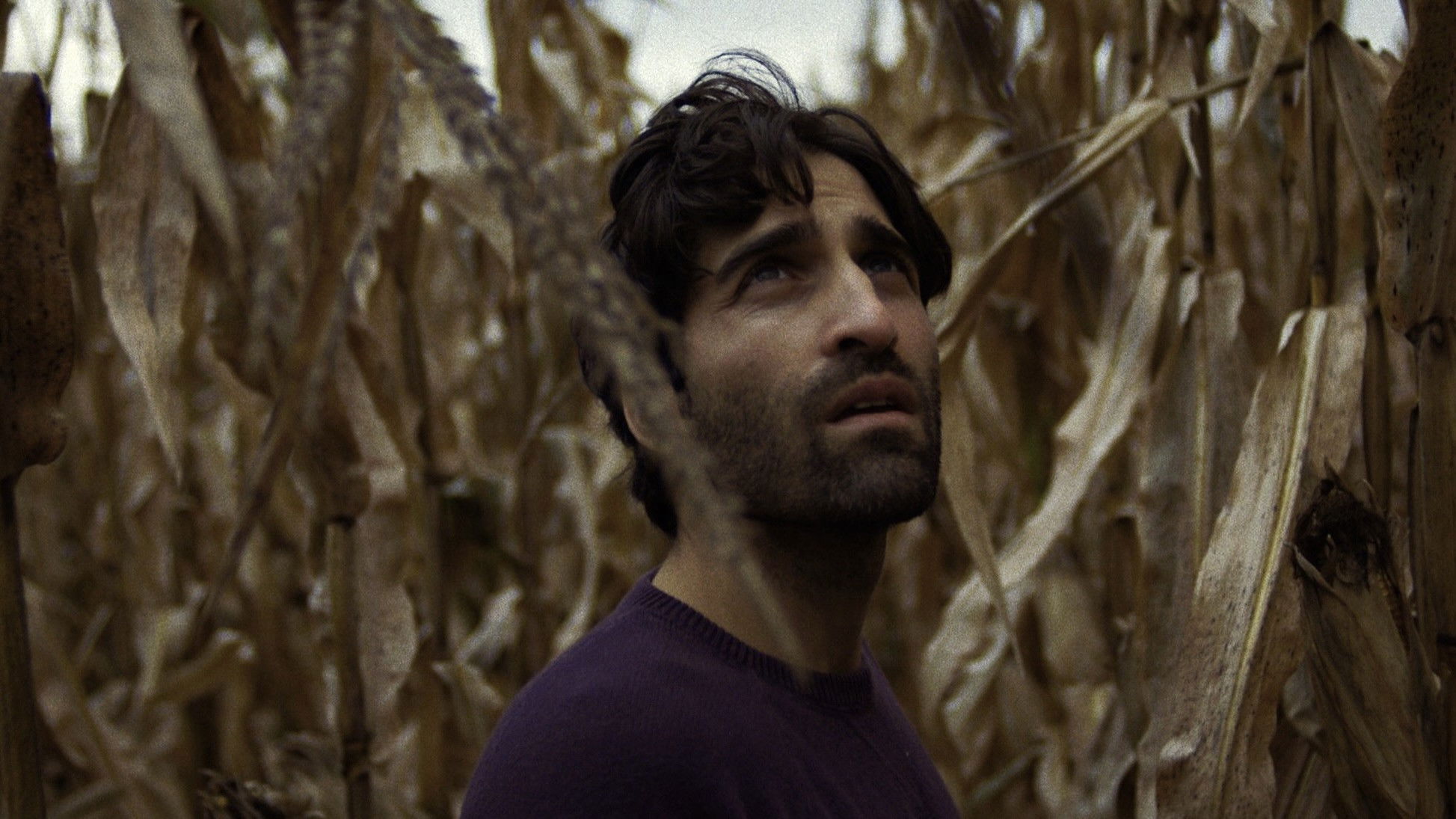 Backdrop for Heavenly Wickedness