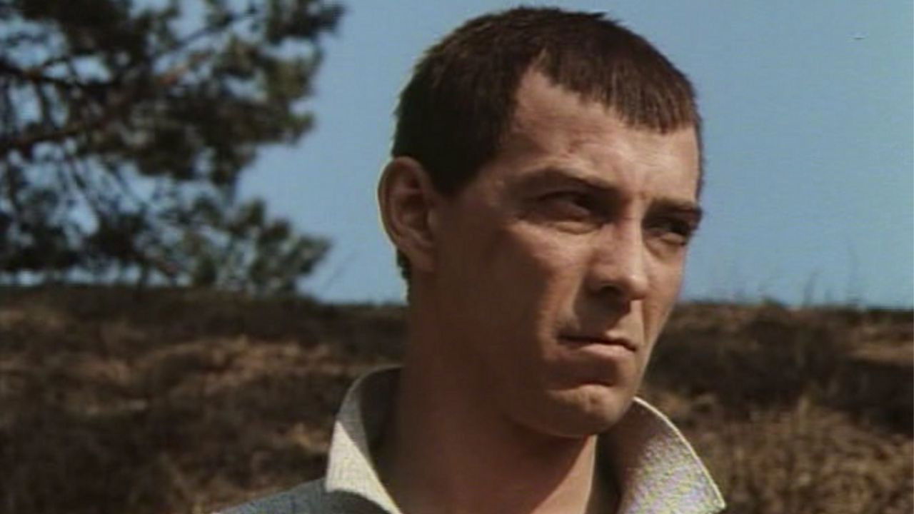 Backdrop for All the Things We Dreamt of for So Long