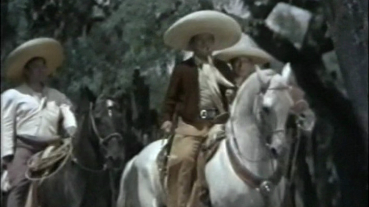 Backdrop for Bala Perdida