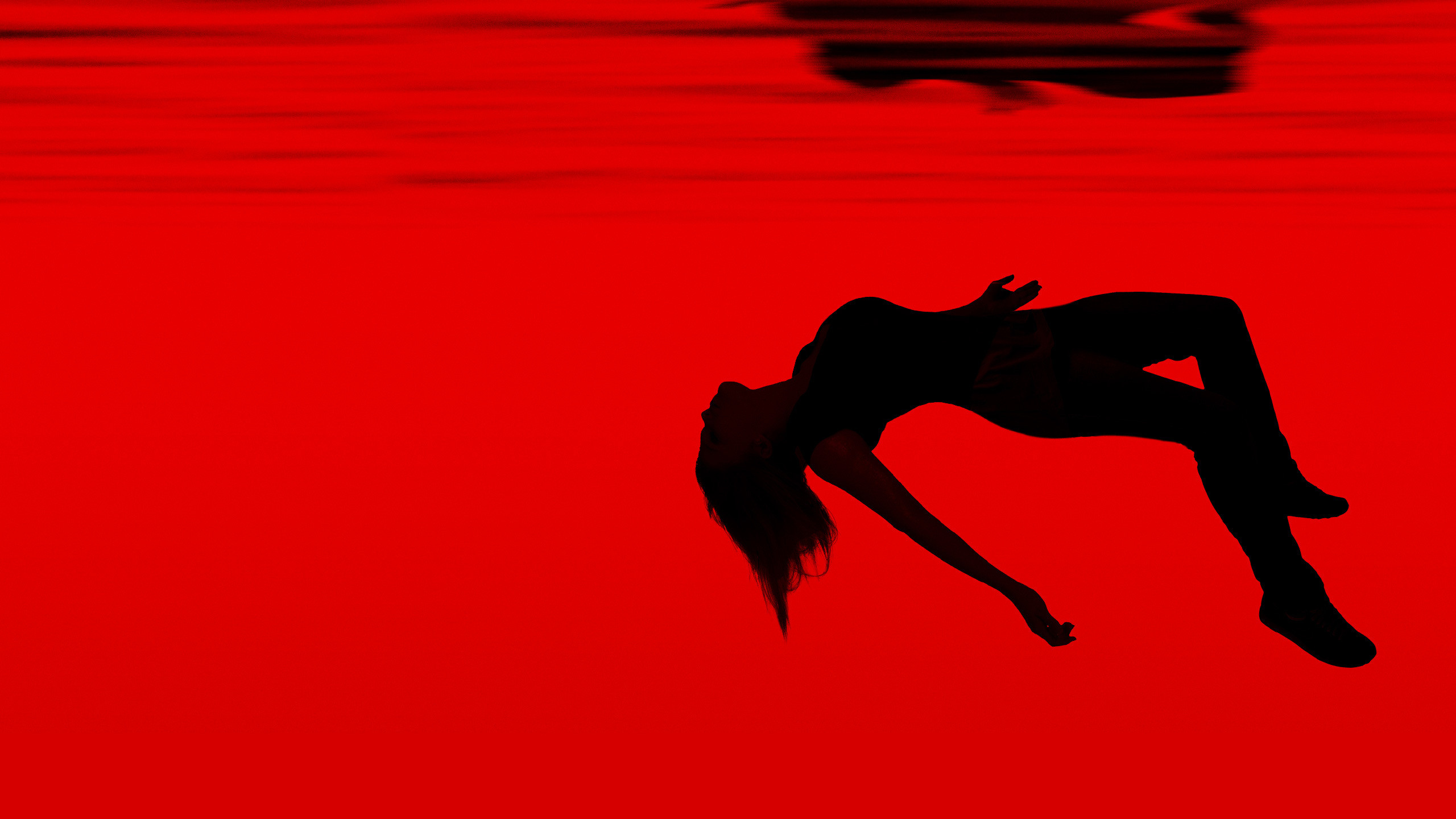 Backdrop for Falling Water