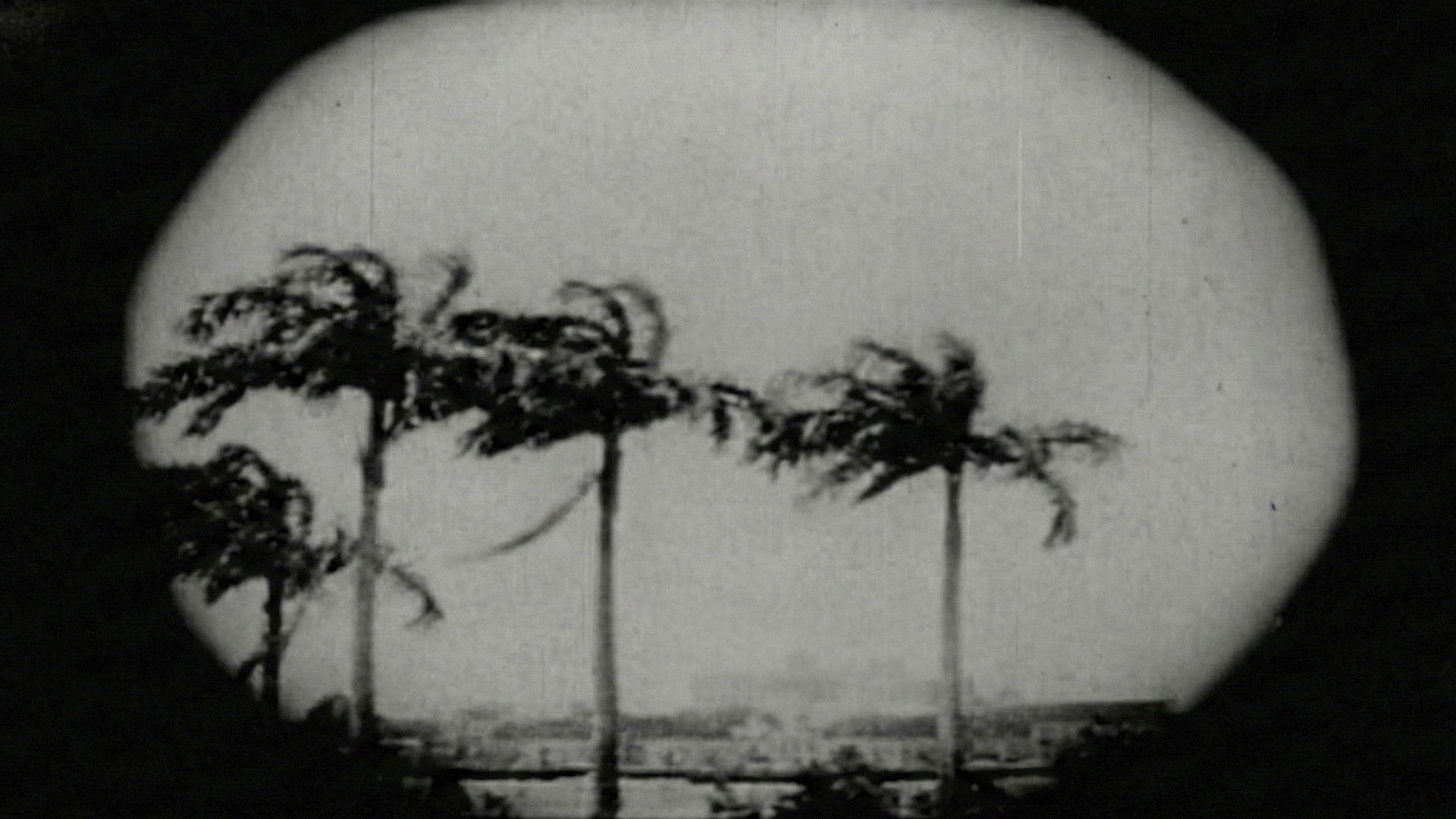 Backdrop for Recife no Centenário da Confederação do Equador