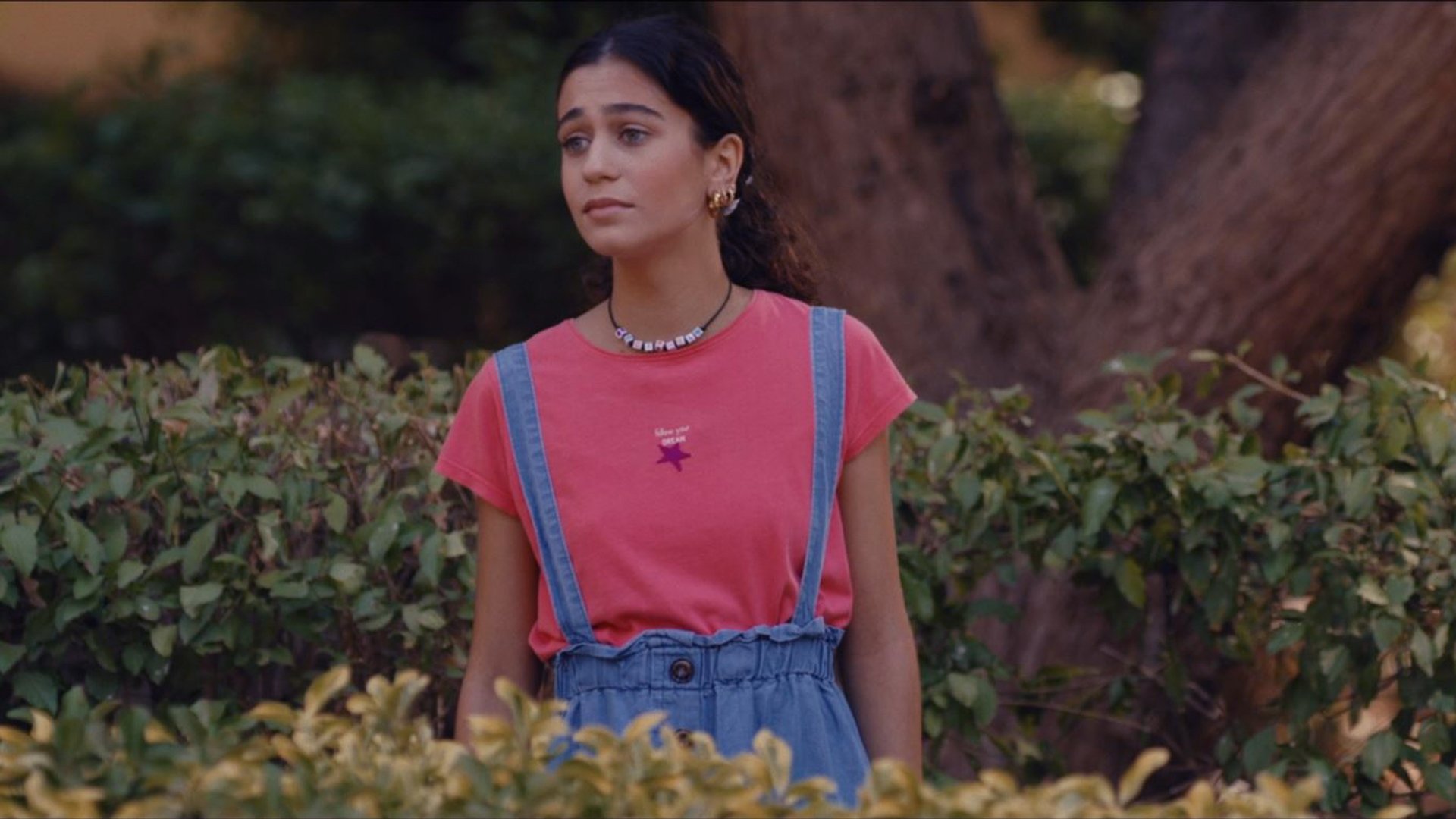 Backdrop for Scianèl