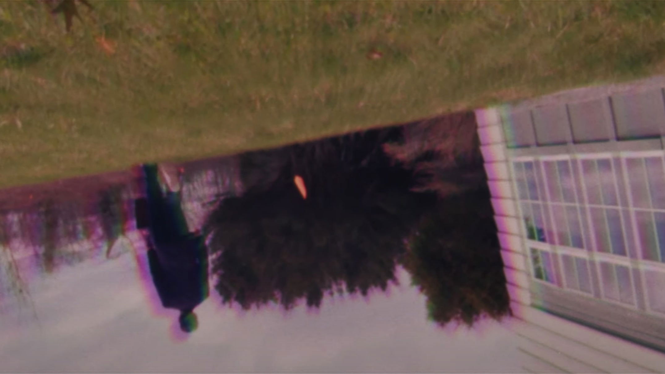 Backdrop for Honeydew Sexdream