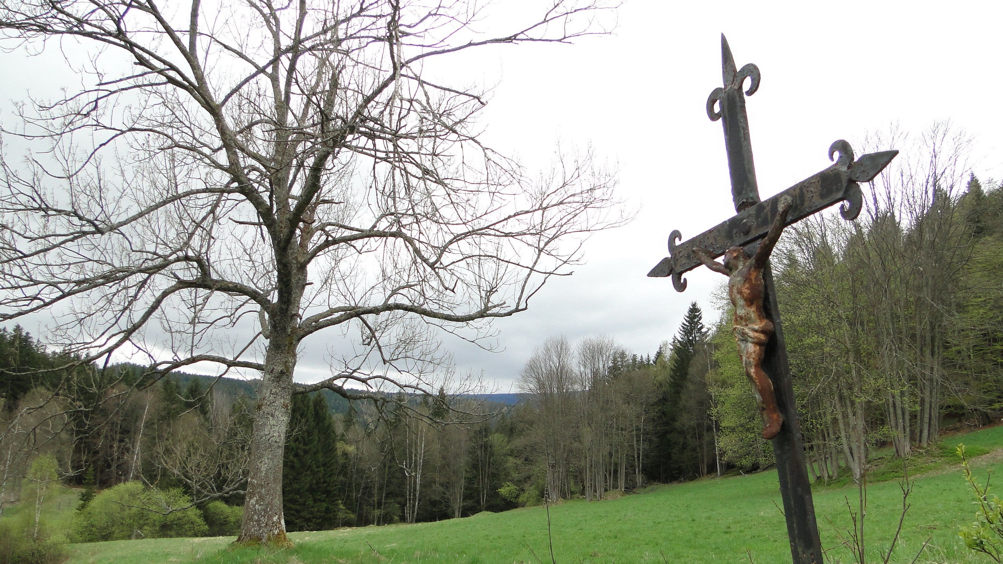 Backdrop for Šumava Vladimíra Horpeniaka