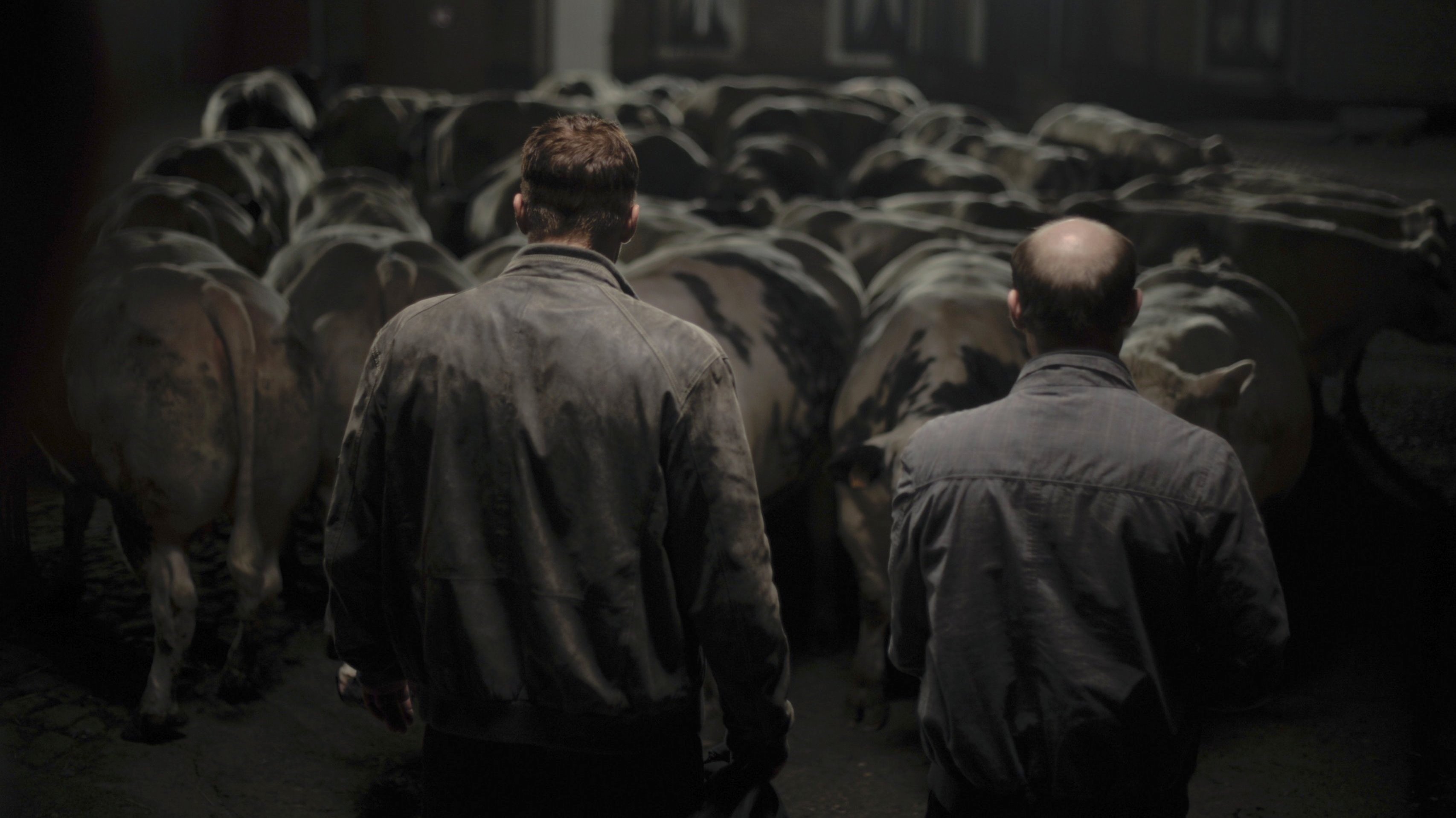 Backdrop for Bullhead