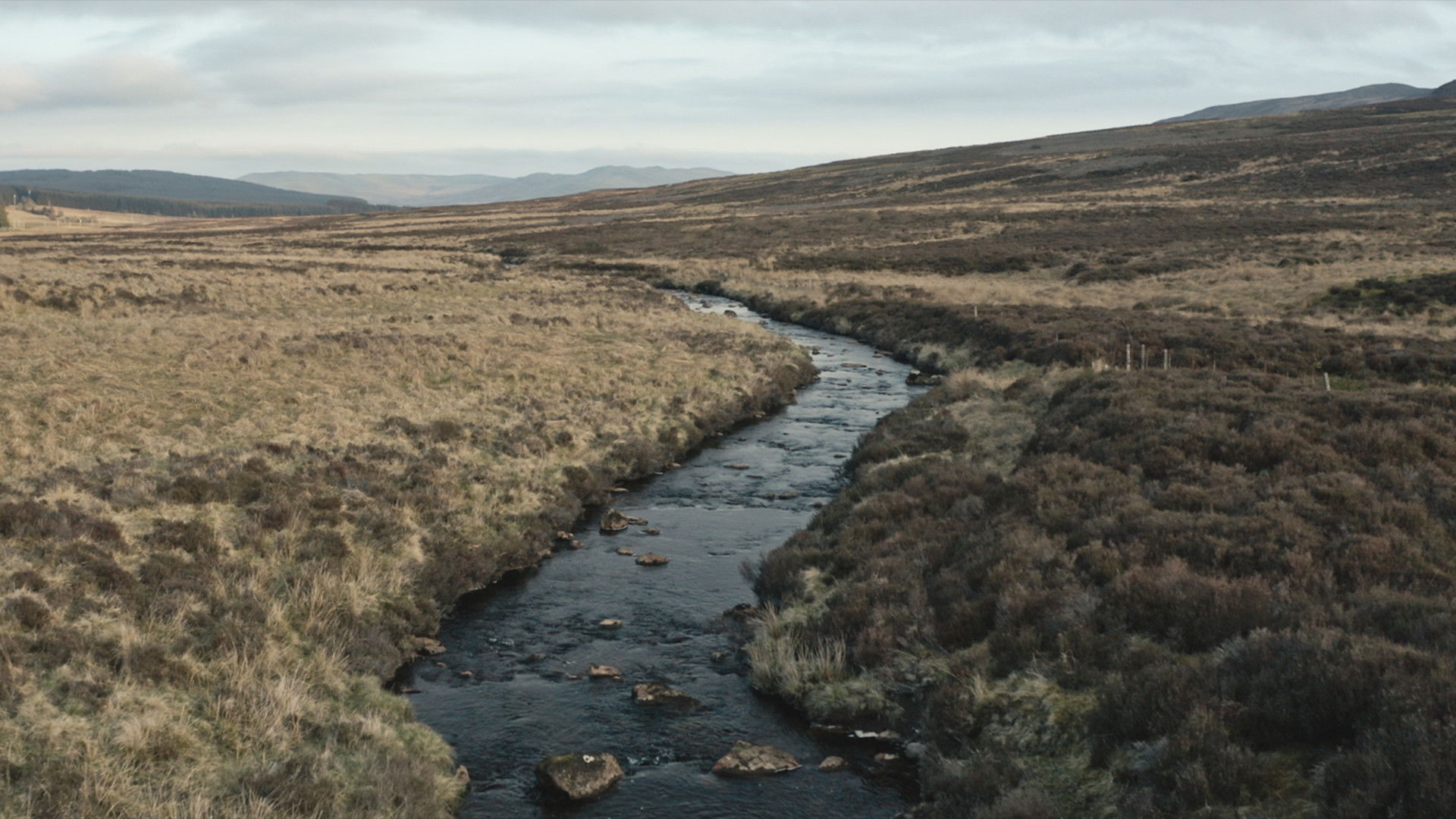 Backdrop for The New Spirit of Whisky