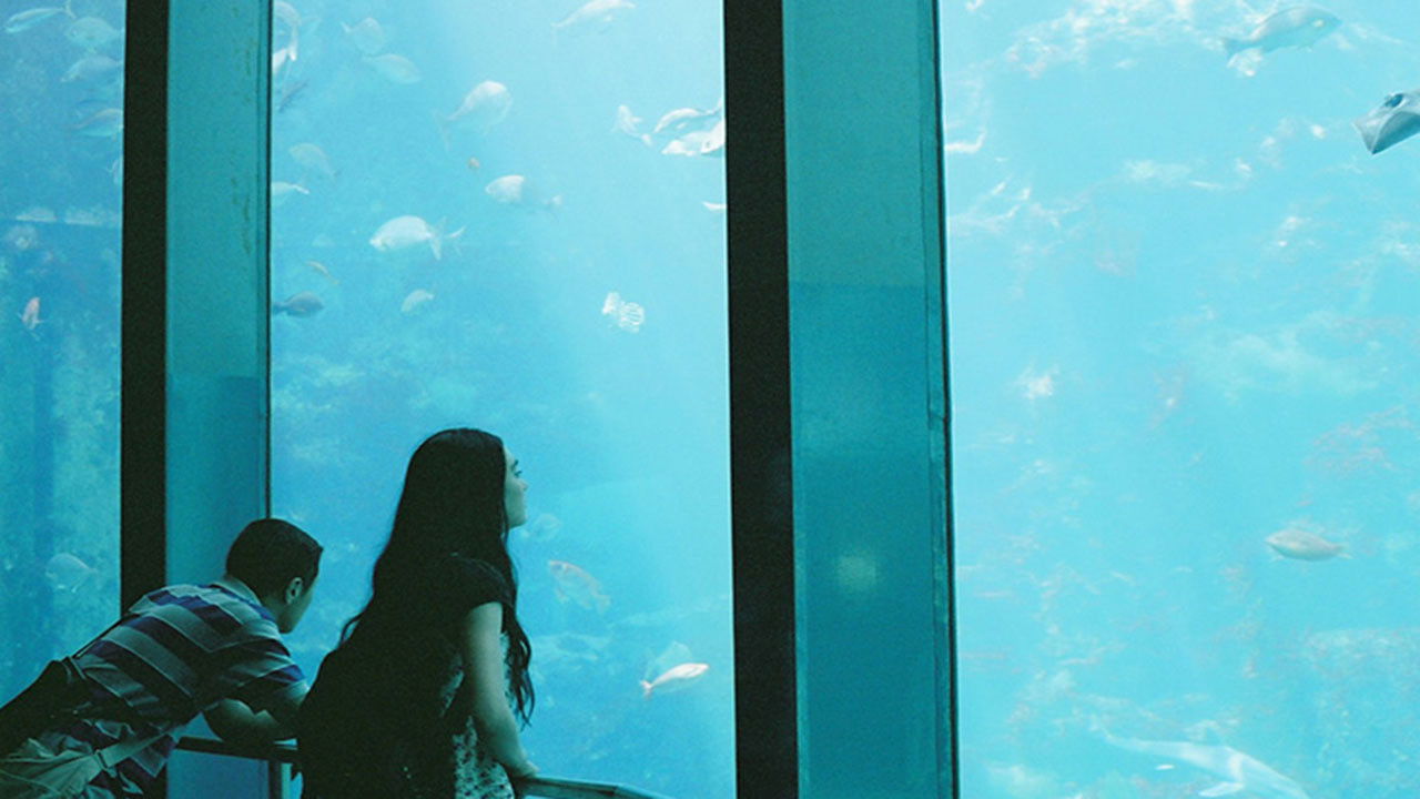 Backdrop for A Song I Remember