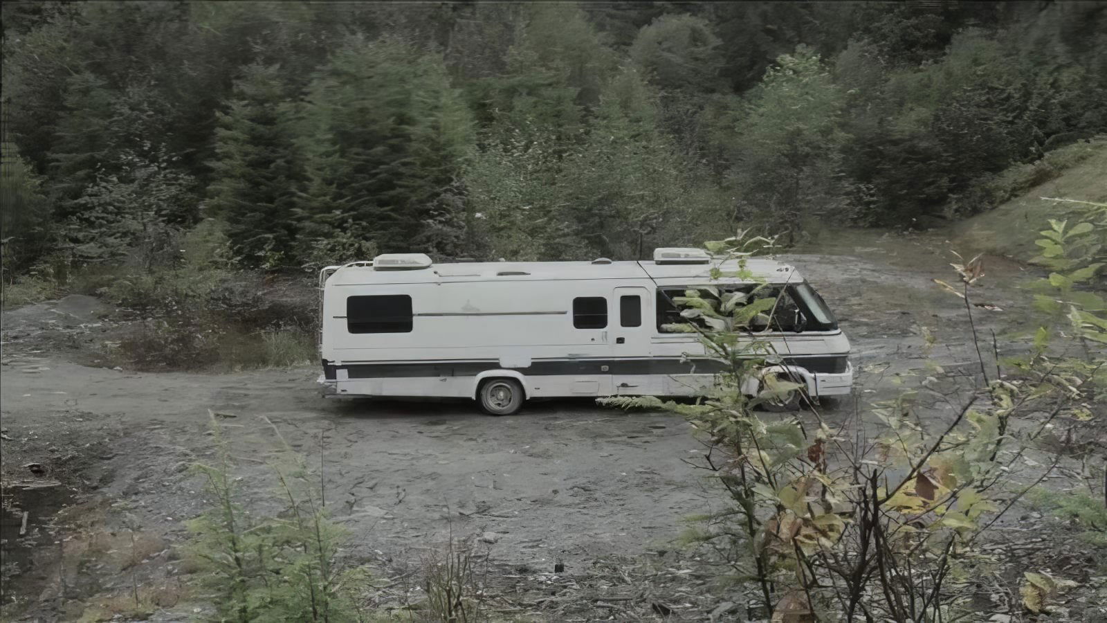 Backdrop for Crowsnest