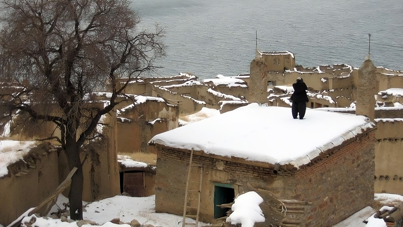 Backdrop for Snowy Dreams