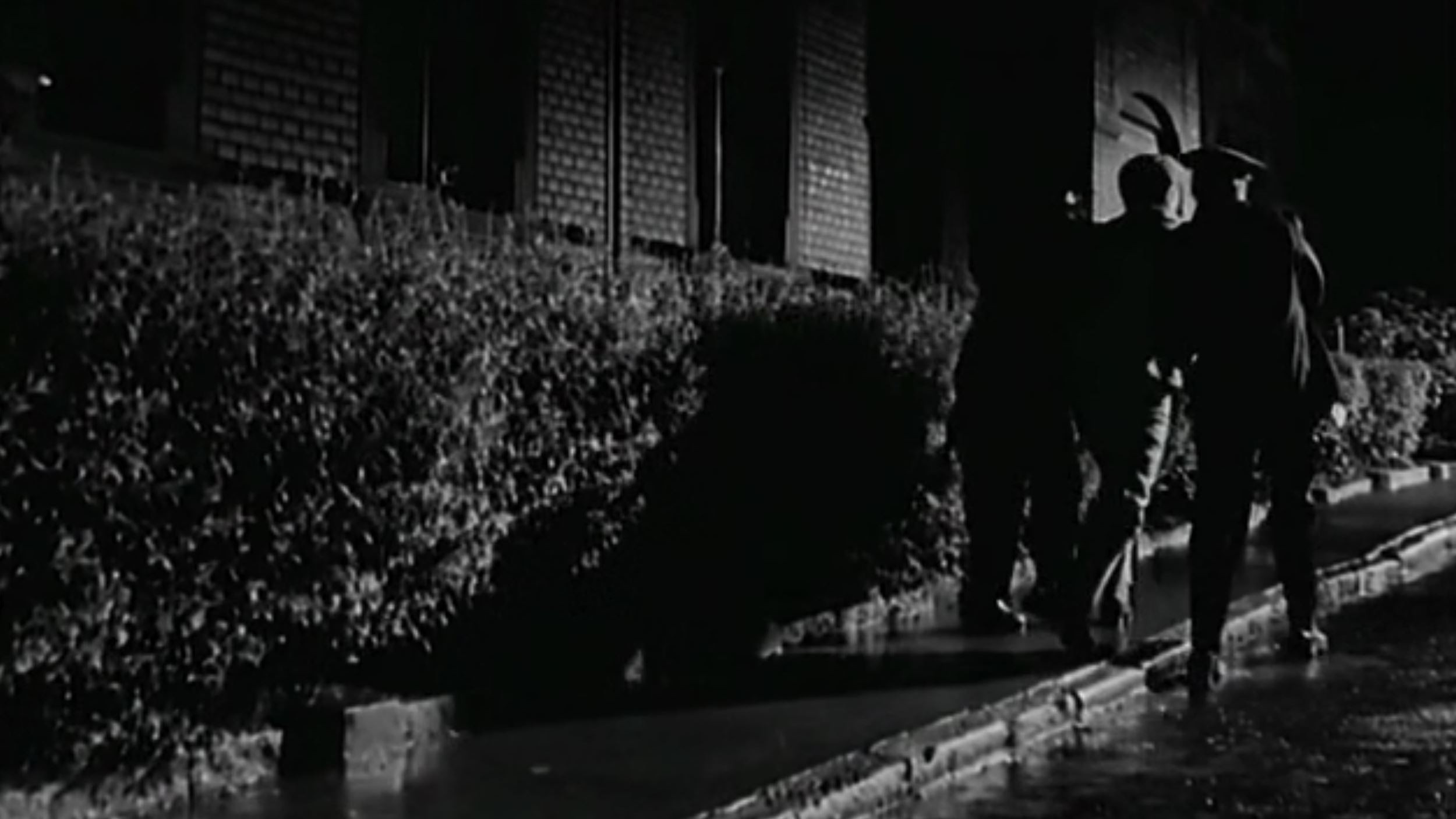 Backdrop for Schritte in der Nacht