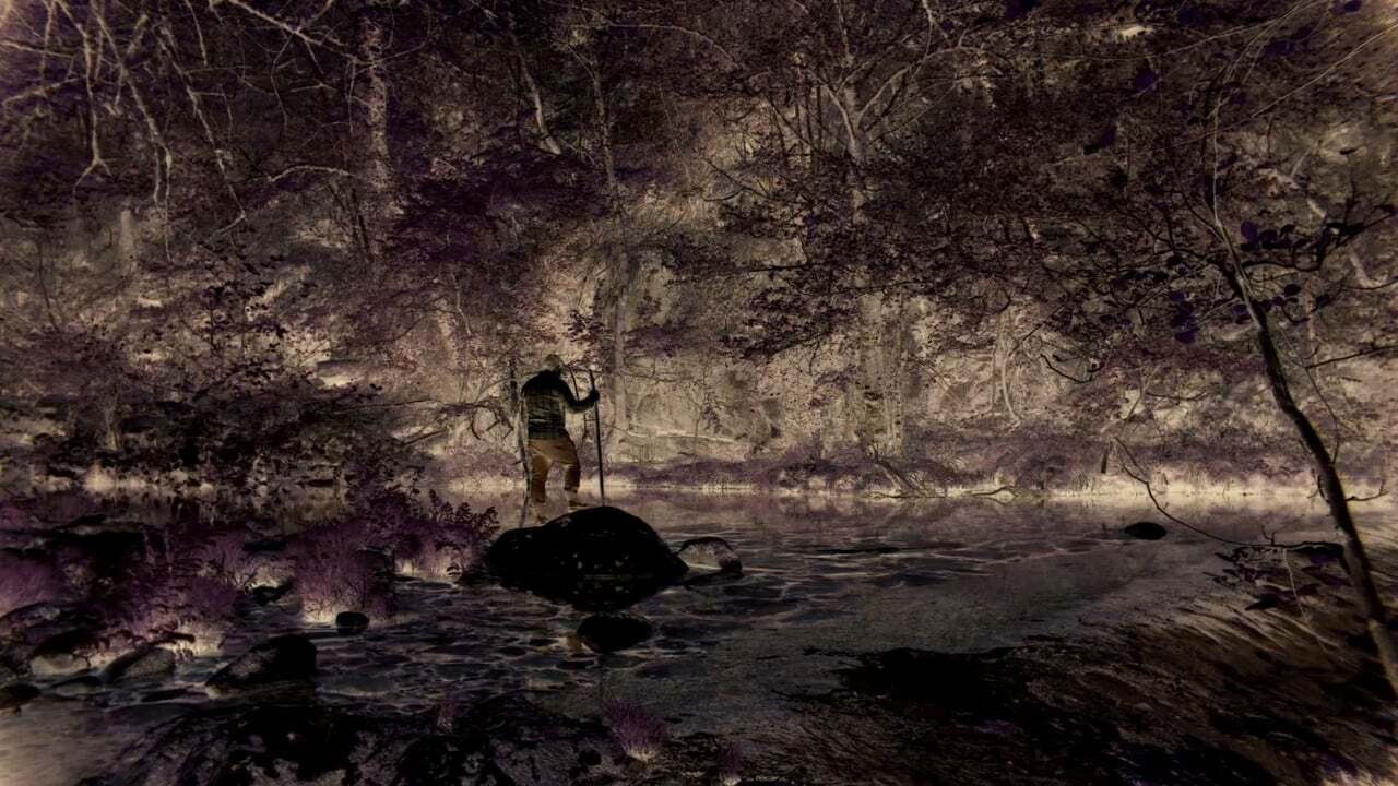 Backdrop for Night Without Distance