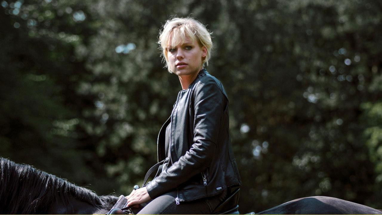 Backdrop for Trakehnerblut