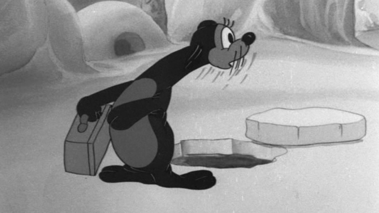 Backdrop for Seal Skinners