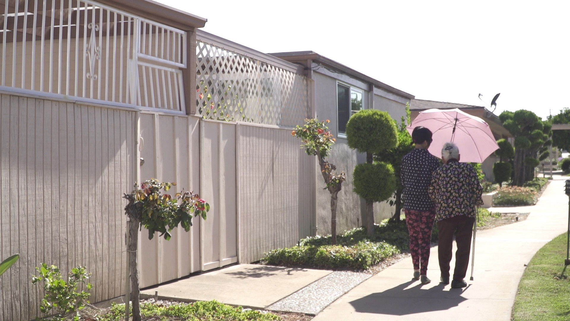 Backdrop for Nai Nai