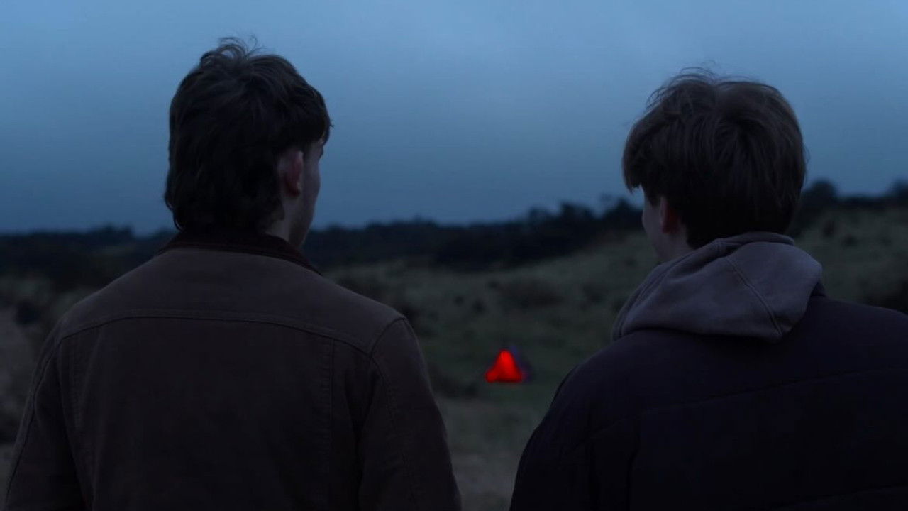 Backdrop for Red Palm