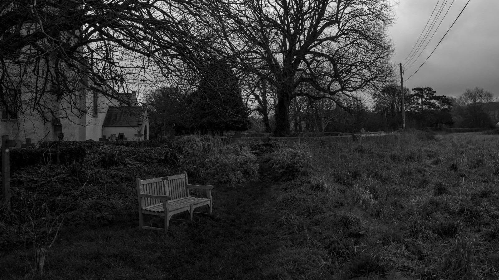 Backdrop for Tears on Yesterday's Skin