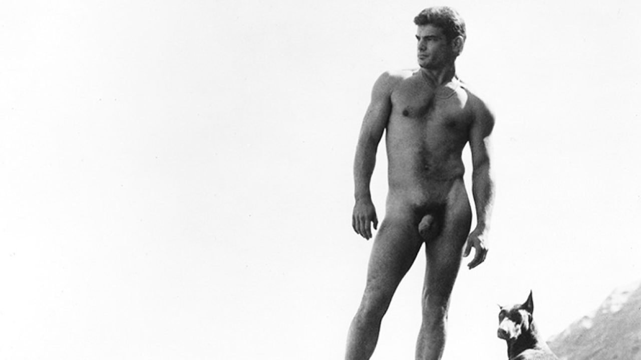 Backdrop for Rip Colt's Sex Rated Home Movies 2