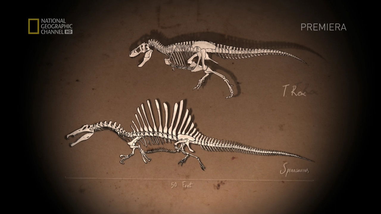 Backdrop for Bigger Than T.Rex