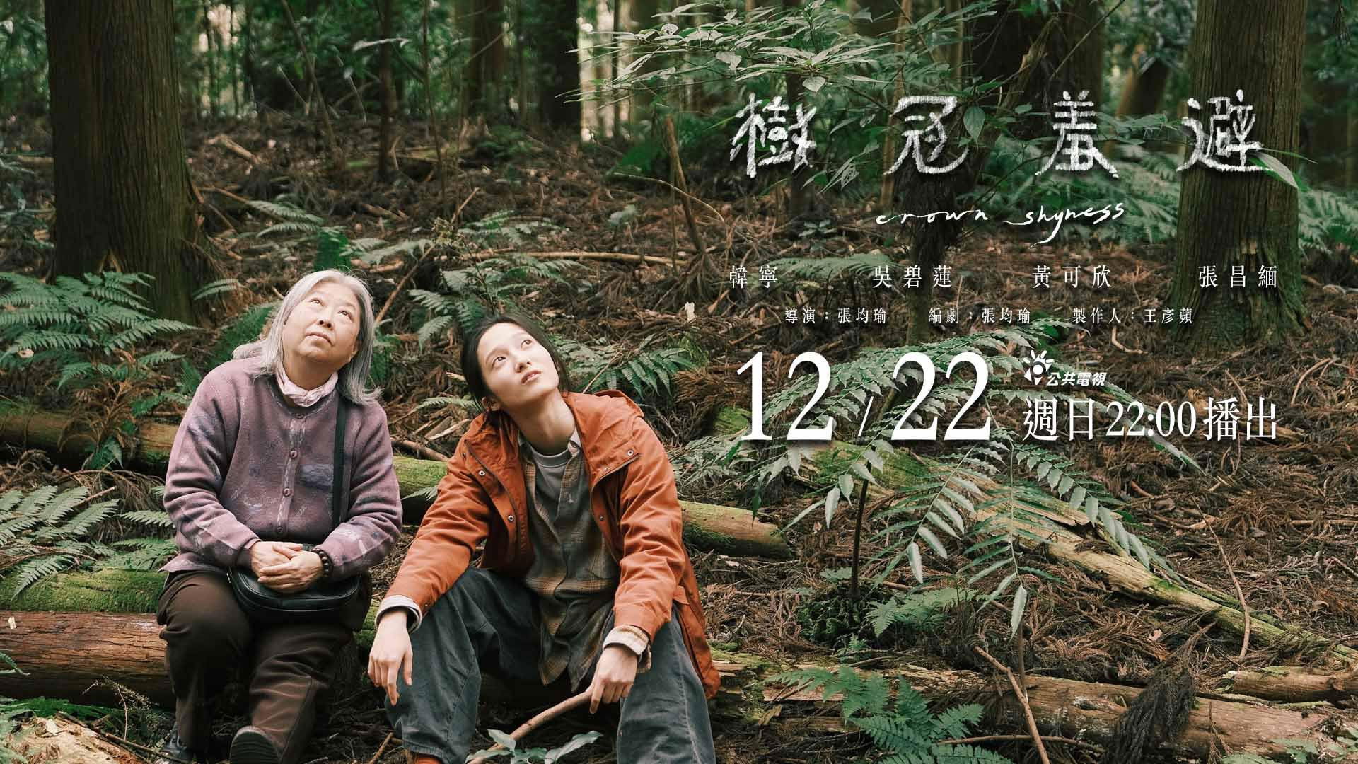 Backdrop for Crown Shyness