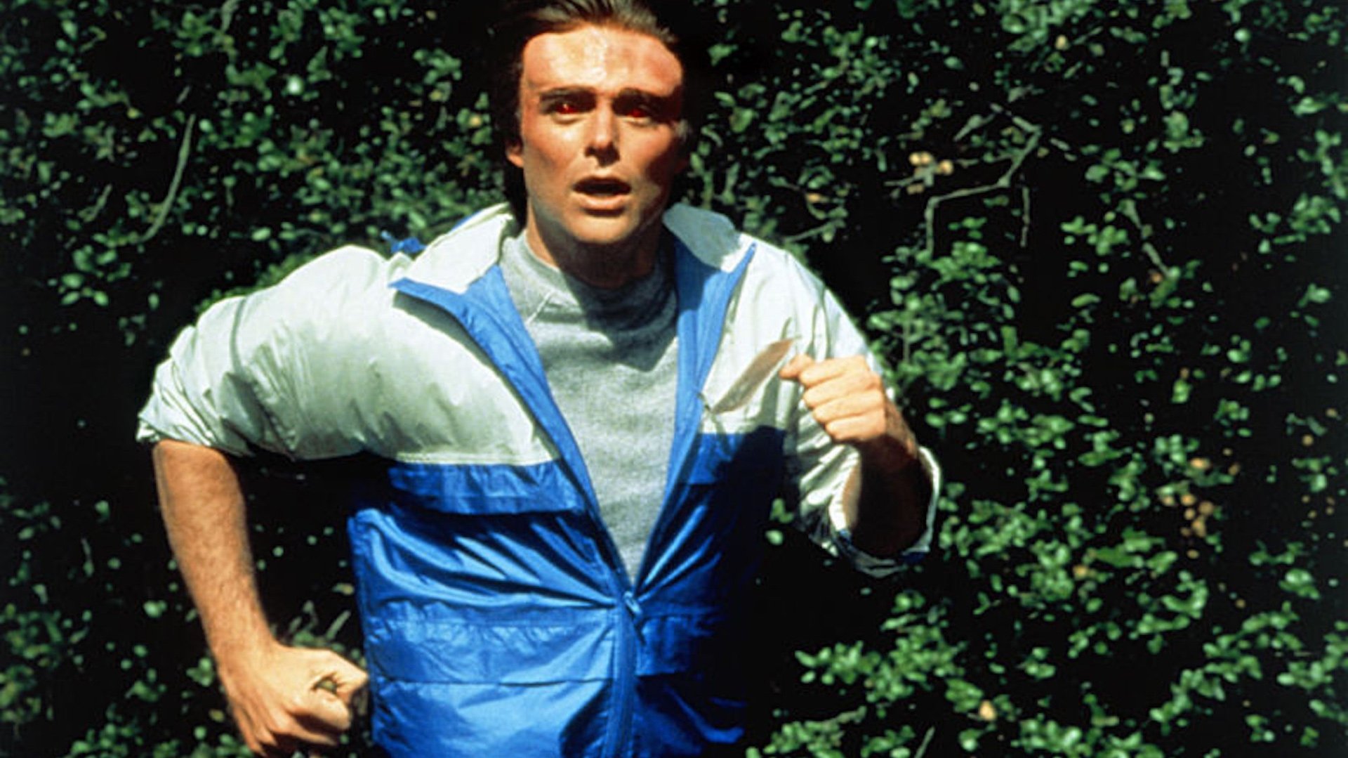 Backdrop for Northstar